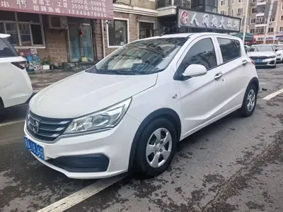 Baojun 310
