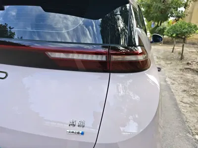 BYD Seagull