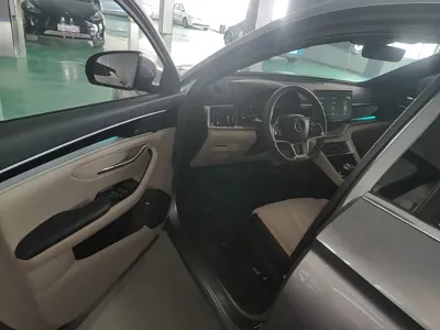 BYD PLUS New Energy