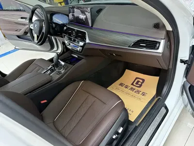 BMW 5 Series New Energy