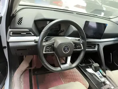 BYD Pro