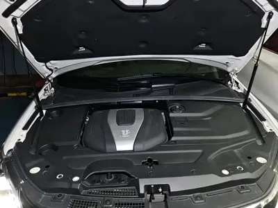 BYD Tang New Energy