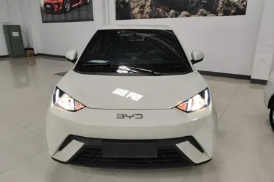 BYD Seagull