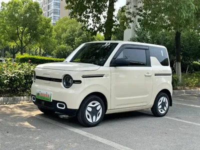 Galaxy Panda