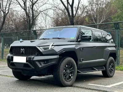 Mengshi Mengshi 917