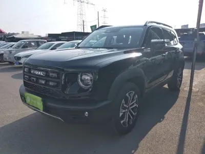 Haval Big Dog
