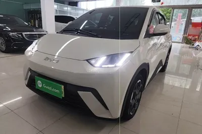 BYD Seagull