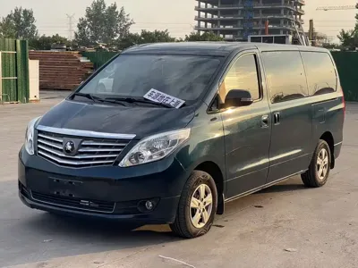 Fengxing Lingzhi PLUS