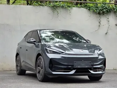 Volkswagen 06