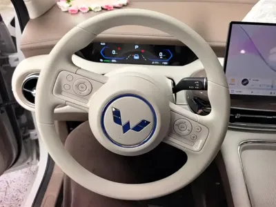 Wuling 缤果Pro