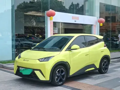 BYD Seagull