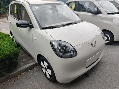 Wuling MINIEV