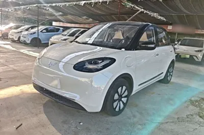 Wuling Bingo