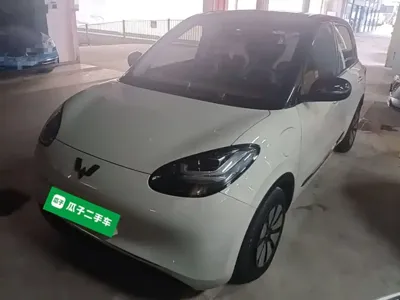 Wuling Bingo