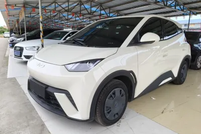 BYD Seagull