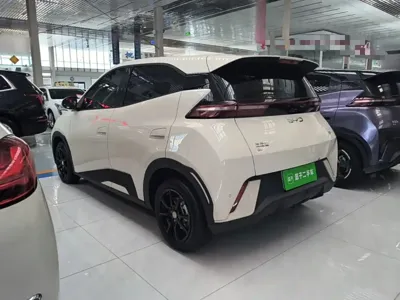 BYD Seagull