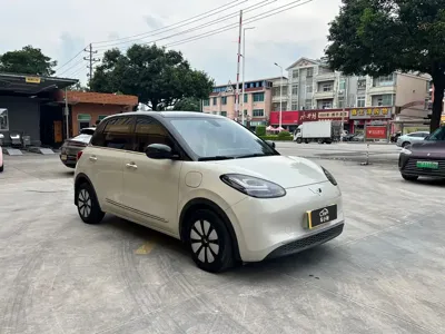 Wuling Bingo
