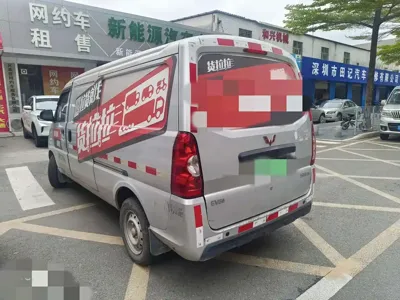 Wuling Wuling EV50