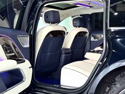 Hongqi 红旗金葵花国雅