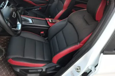 Geely Auto Binray