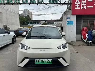 BYD Seagull