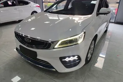 Geely Auto Binray