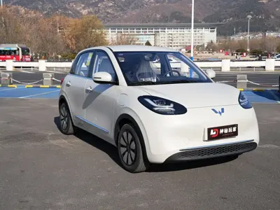 Wuling Bingo