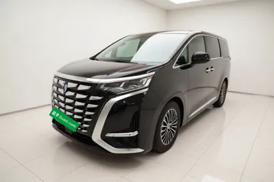 Denza D9