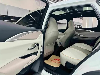 BYD Pro New Energy