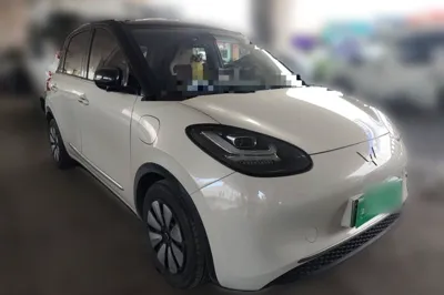Wuling Bingo