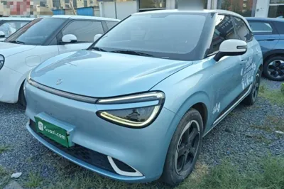 Dongfeng NAMMI 01
