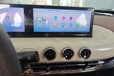 Wuling Bingo