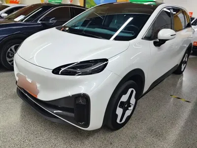 Arcfox S