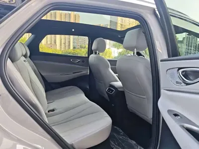 BYD 海狮06