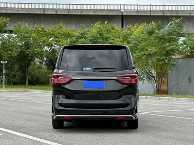Maxus G20
