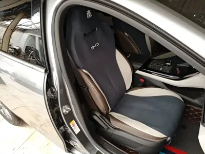 BYD Qin Plus
