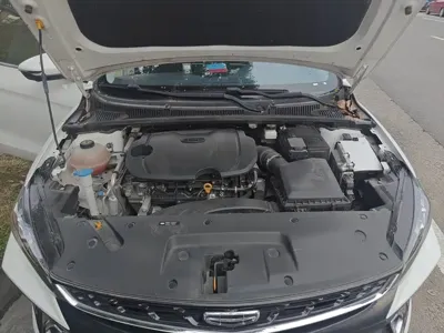 Geely Binrui