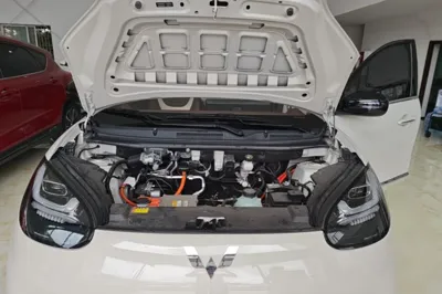 Wuling Bingo