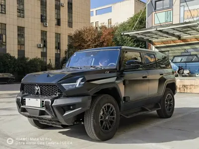 Mengshi Mengshi 917