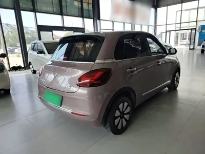 Wuling Bingo