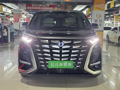 Denza Denza D9