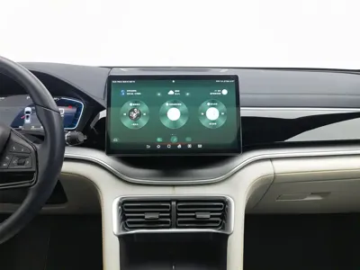 BYD PLUS New Energy
