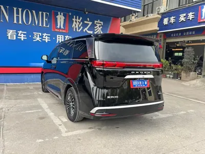Denza Denza D9
