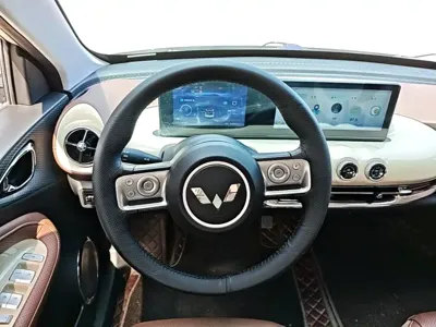 Wuling Bingo