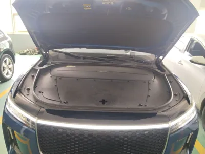 Li Auto ONE