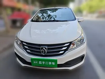 Baojun 310