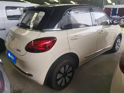 Wuling Bingo