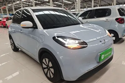 Wuling Bingo