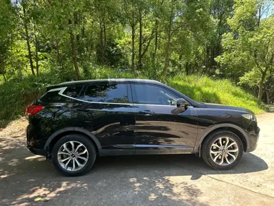 WEY Wey VV6