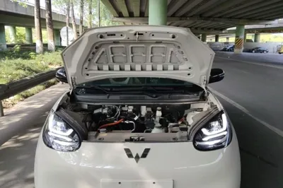 Wuling Bingo